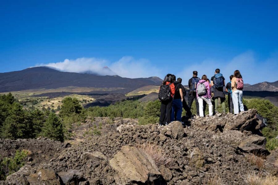 Catania: Amazing Etna Morning Tour with Pickup and Drop-Off - Grotta delle Nevi: the lava cave visit you’ll remember