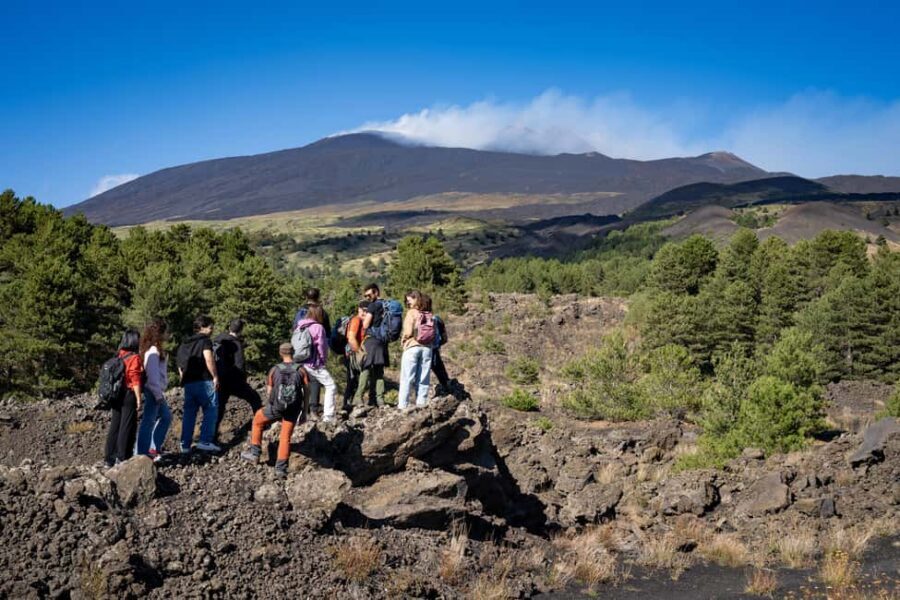 Catania: Amazing Etna Morning Tour with Pickup and Drop-Off - Pickup in Catania: the day starts easy