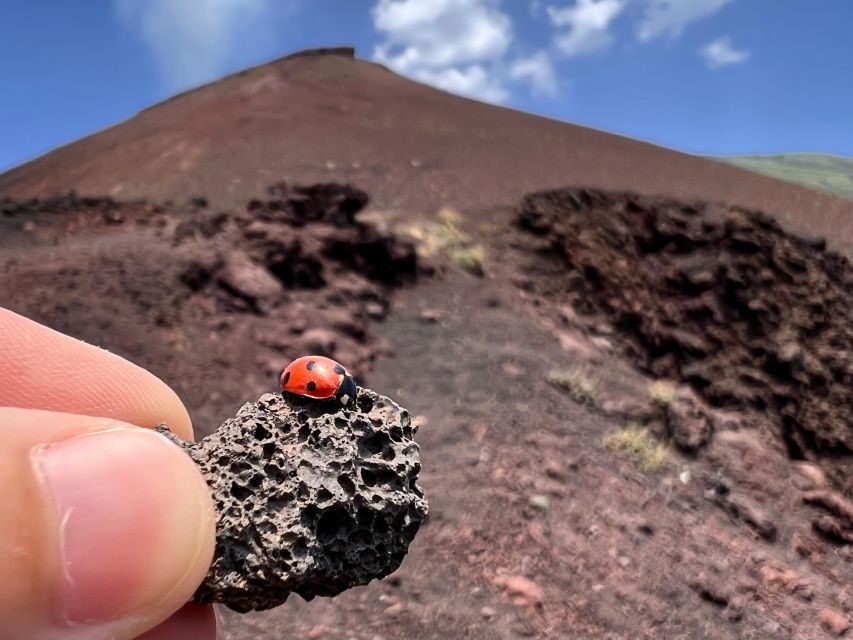 Catania: Etna Morning Excursion with Tasting and Pickup - The lava cave walk: where the tour really stands out
