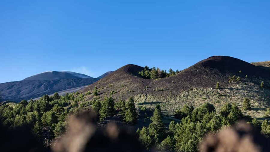 Catania: Etna Nature Tour with Hiking, Cave Visit, & Tasting - The Lava Cave Visit: Helmet On, Headlamp Lit