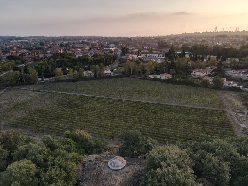 Catania: Etna Urban Winery Sicilian Lunch with Wine Tasting - Tour timing that keeps lunch on track