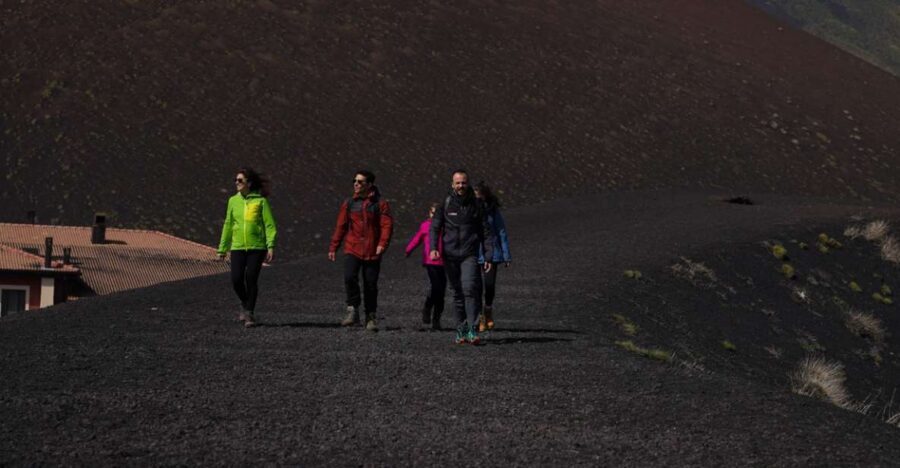 Catania: Guided Tour of Etna with Wine Tasting & Appetizers - Why a Guided Etna Day From Catania Makes Sense