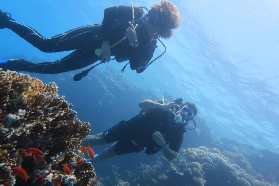 Catania: Gulf Scuba Diving Tour with Marine Biologist - Long-Tail Boat Time, Aperitif, and Marine-Life Viewing