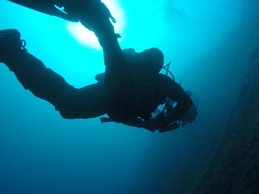 Catania: Gulf Scuba Diving Tour with Marine Biologist - The Underwater Plan: Lava Seabed, Basalt Columns, and Fault Lines