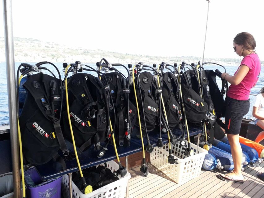 Catania: Gulf Scuba Diving Tour with Marine Biologist - Marine Biologist Guidance: Science You Can Actually Use