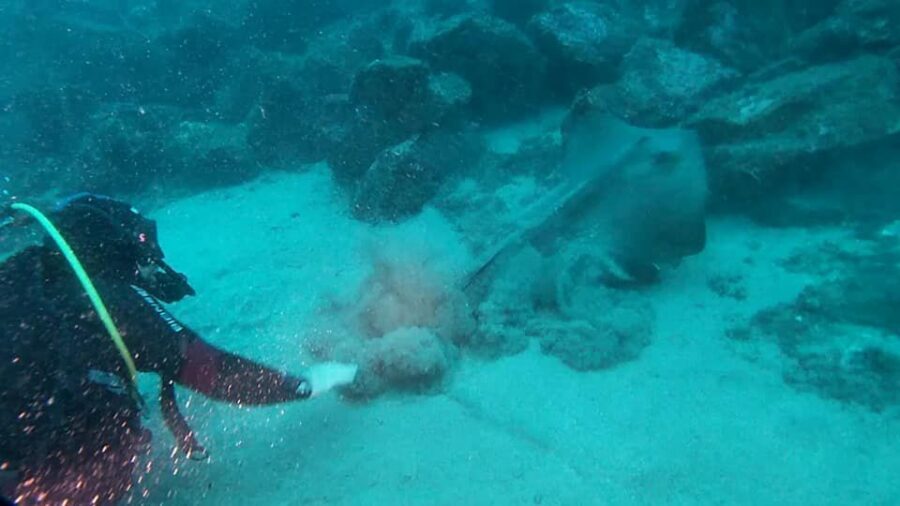 Catania: Gulf Scuba Diving Tour with Marine Biologist - What to Bring and What the Day Feels Like