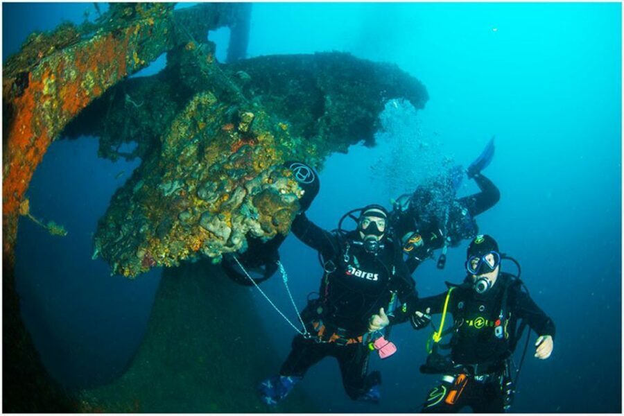 Catania: Gulf Scuba Diving Tour with Marine Biologist - Price, Time, and Why $82 Can Be Good Value