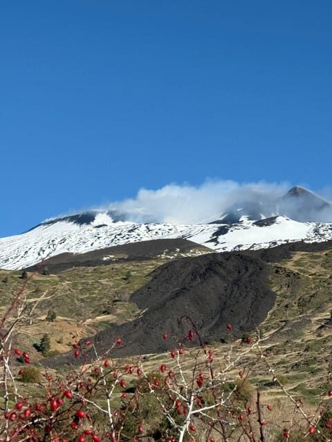 Catania: Morning Jeep Tour of Mount Etna and Lava Flow Caves - Hornitos, Old Explosive Zones, and Rifugio Casa del Vescovo Stops