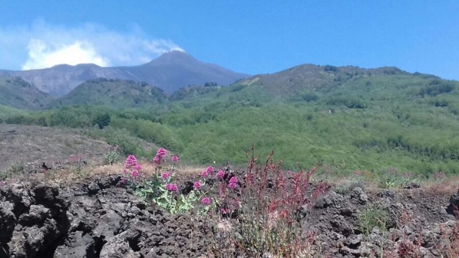Catania: Mount Etna Sunset Tour and Etna Doc Wine - Valle del Bove and the Ox Valley caldera stop
