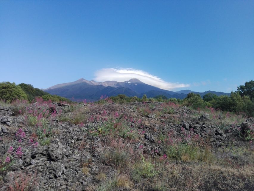 Catania: Mount Etna Sunset Tour and Etna Doc Wine - Silvestri Craters at around 2000 meters: the lunar part of Etna