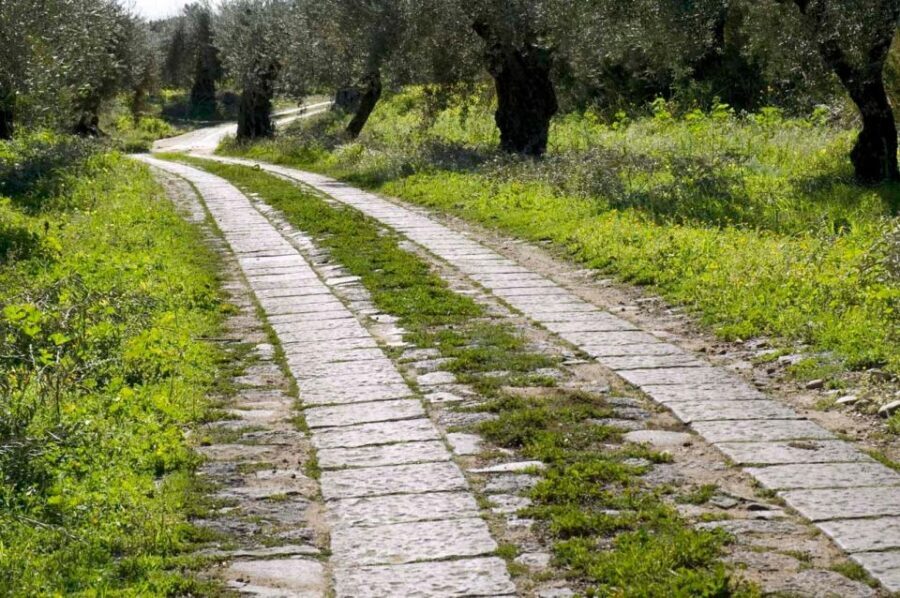 Catania: Pozzo di Gaspare Farm Guided Tour with Tastings - Pozzo di Gaspare: a family farm you can actually picture in your mind