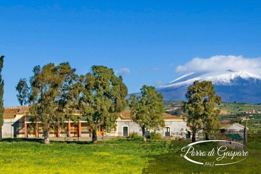 Catania: Pozzo di Gaspare Farm Guided Tour with Tastings - A guided walk that links farming work to what you eat