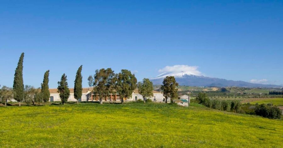 Catania: Pozzo di Gaspare Farm Guided Tour with Tastings - Views, lava stone, and the quiet energy of a working farm