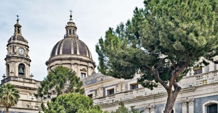 Catania: Private custom tour with a local guide - A Catania walking tour that actually adapts to you
