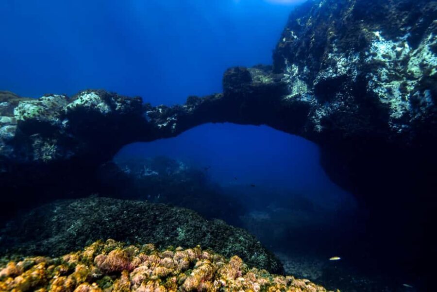 Catania: Scuba Diving Experience - Key Things I’d Tell a Friend Before You Go