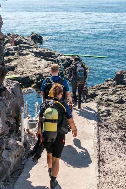 Catania: Scuba Diving Experience - Into the Ionian Blue: How the Underwater Time Usually Flows
