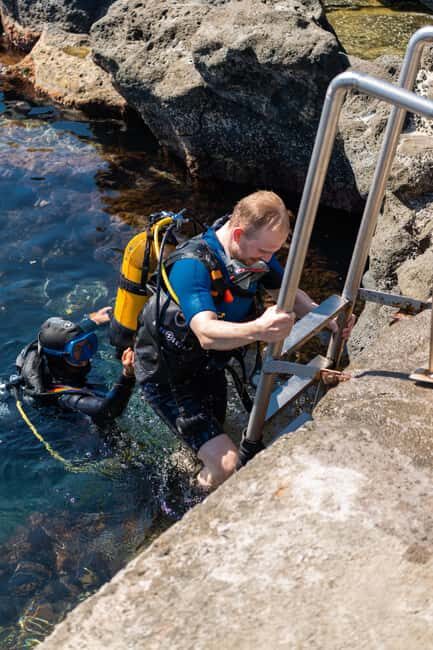 Catania: Scuba Diving Experience - The Volcanic Seafloor: Lava Flows, Caves, and What It Means