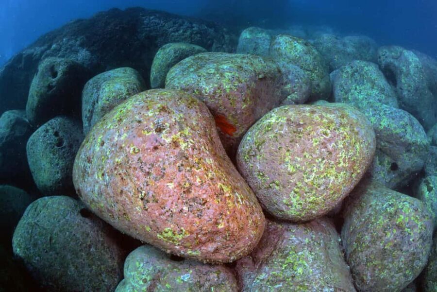 Catania: Scuba Diving Experience - What to Bring (So You Don’t Get Stuck in “Gear Confusion”)