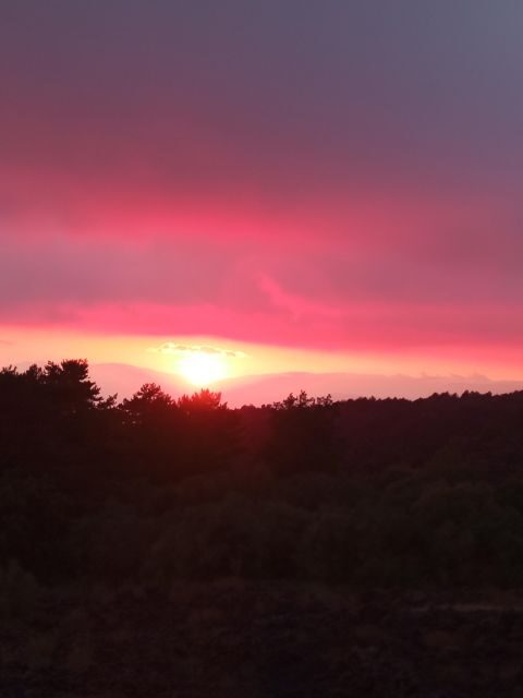 Catania: Sunset Trekking on Mount Etna with Wine Tasting - Piano Vetore at golden hour: wine, local snacks, and the pause you came for