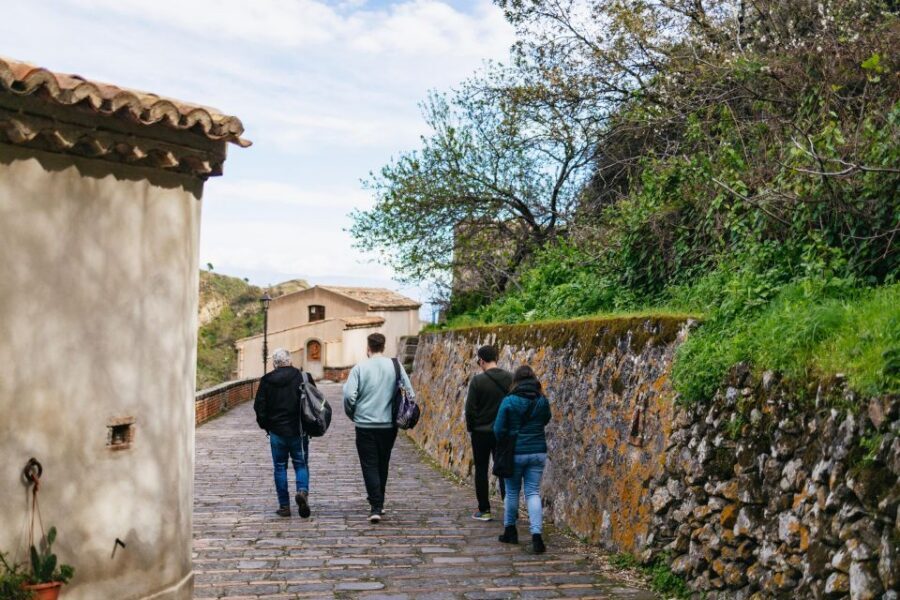 Catania/Taormina: The Godfather Filming Locations Tour - Logistics that actually affect comfort: walking, time, and what’s included