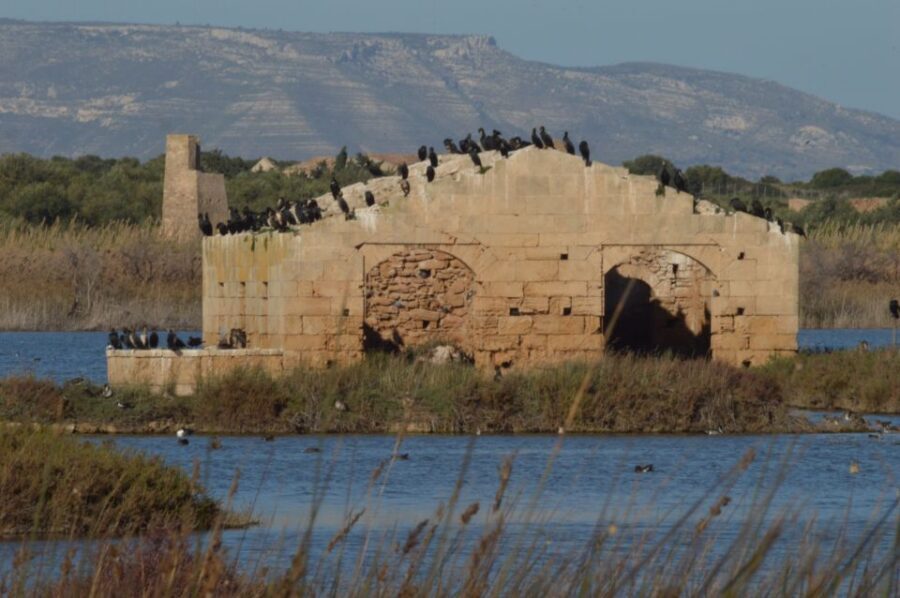 Catania: Vendicari, Marzamemi and Noto Day Trip - What you pay for: value of this $57.78 guided day