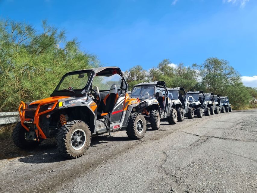 Etna Buggy 4x4 Tour - The guide matters: expect real storytelling, not just directions