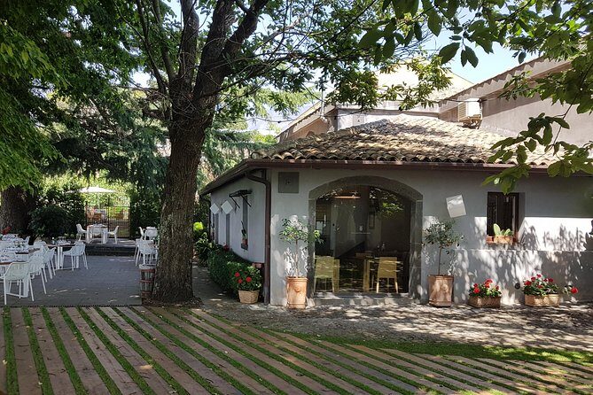 Etna Easy & Winery from Messina, Catania or Taormina/G. Naxos - Price Value: What You’re Really Paying For