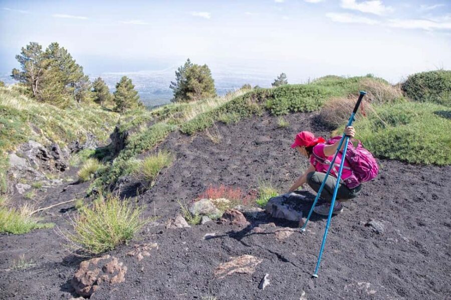 Etna Family Tour: private excursion on Etna mt. for families - Who should book this Etna Family Tour?