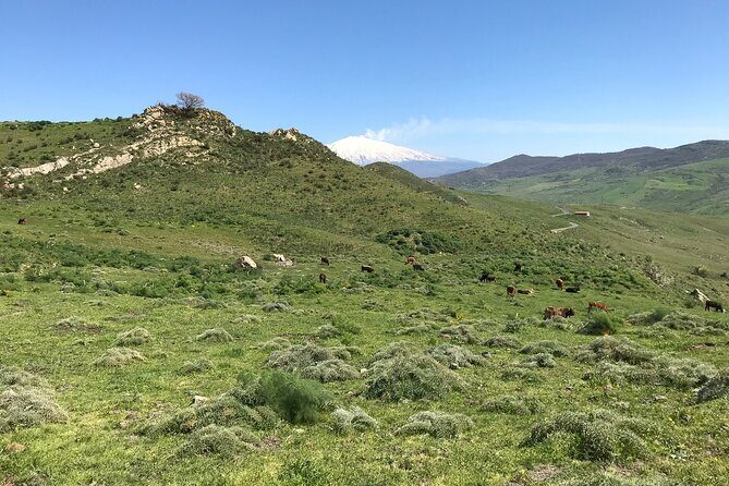 Etna Morning Jeep Tour - Valle del Bove: a quick basin stop that feels dramatic