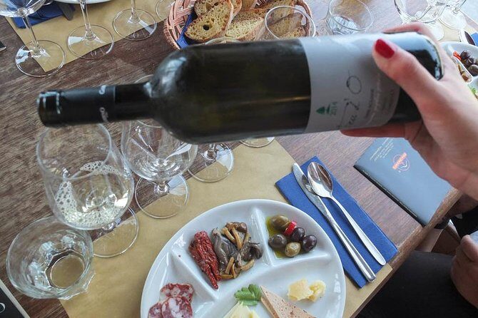 Etna Private tour from Messina Cruise Terminal + Lunch at Winery - Key Highlights You’ll Want to Know