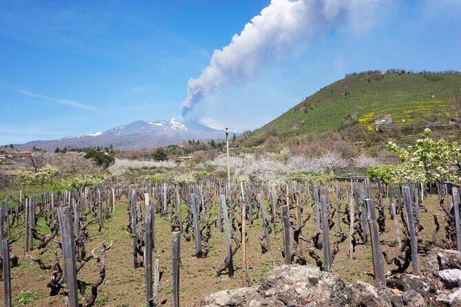 Etna Private tour from Messina Cruise Terminal + Lunch at Winery - Honey Stop on Etna’s Slopes: Tastings That Make Great Souvenirs