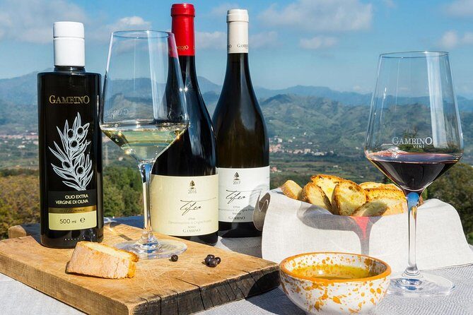 Etna Private tour from Messina Cruise Terminal + Lunch at Winery - Winery Time: Estate Tour, Cellars, and a Real Etna-Slope Lunch