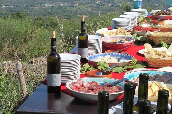Etna Private tour from Messina Cruise Terminal + Lunch at Winery - How the Private Guide Changes the Day (and Keeps It Fun)