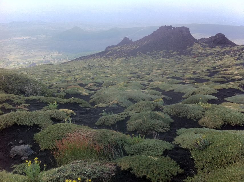 Etna: Sunset Tour on the Volcano - Craters, Lava Flows, and the Explanations That Make It Click