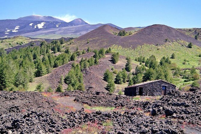 Etna & Taormina from Catania - Price and Value: What You Pay for $138.47