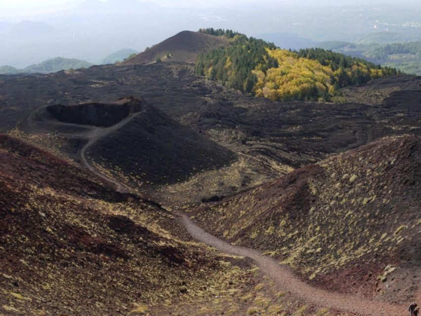 Etna Tour by Panoramic Bus - Price and Value: When $59 Makes Sense