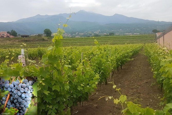 Etna trekking and wine tasting - Mount Etna’s Lava Flow Cave: Why the Helmet-and-Flashlight Detail Matters