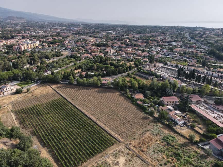 Etna: Urban Winery, Vineyards Walk & Wine Tasting at Sunset - Inside the 1790 Palmento: traditional winemaking you can still see