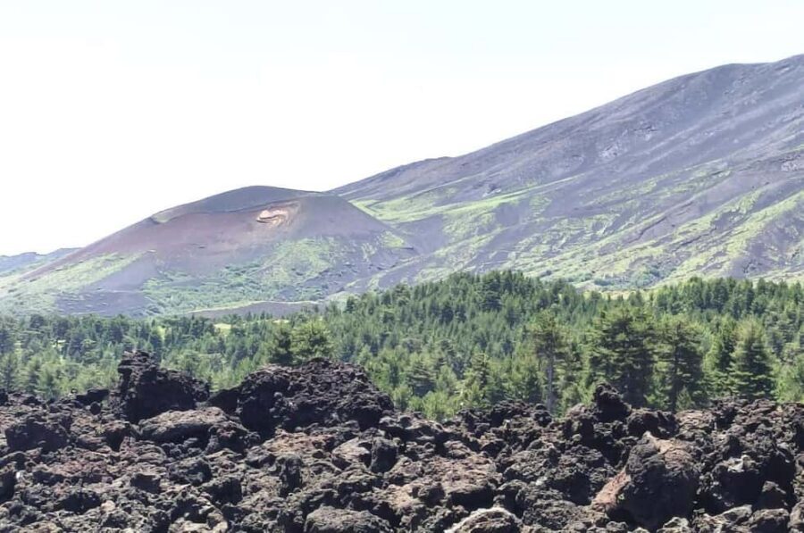 Etna walking tour, visit of a lava tunnel, Arancino tasting - Key Things to Know Before You Go on Mt Etna