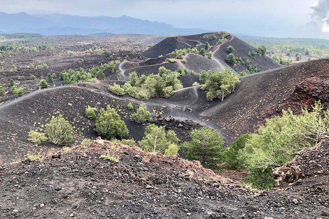 Etna, Wine and Alcantara Tour - From Taormina - Key Highlights You Should Know