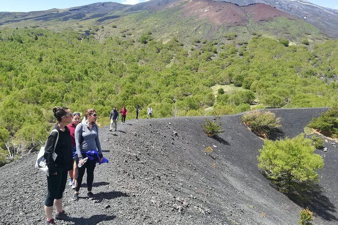Etna, Wine and Alcantara Tour - From Taormina - Morning Pickup and the 8:30 Start That Runs on Time