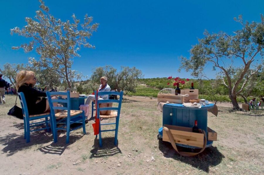 Etna & Wine Private Day Tour - Key things that make this tour click