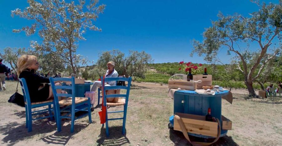 Etna & Wine Private Day Tour - A Private Mt. Etna and Wine Day That Feels Connected