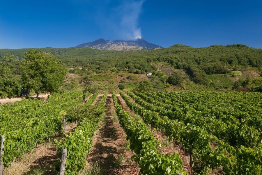Etna & Wine Private Day Tour - The Easy Crater Walk: Big Atmosphere, Low Effort