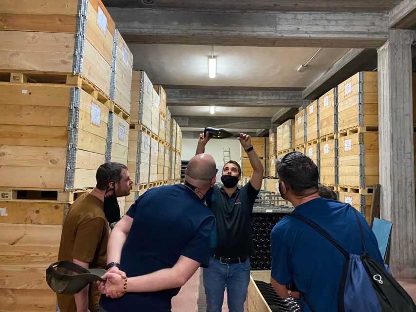 Etna & Wine Private Day Tour - The Guides and the Science-Story Blend