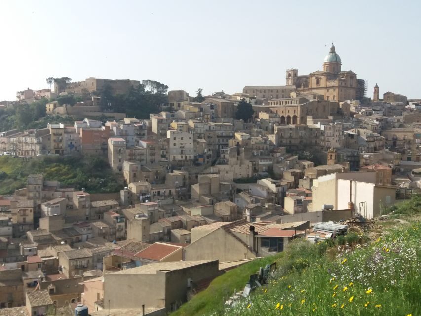 From Catania: Agrigento and Piazza Armerina Full-Day Trip - Entrance tickets, self-guided time, and how to avoid wasted minutes