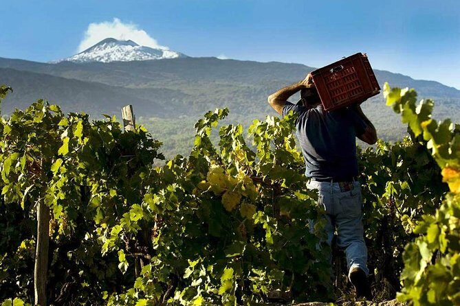 From Catania: Private and Guided Etna tour + Lunch at Etna Winery - Rifugio Sapienza at 2000 m: views, Silvestri Craters, and time to breathe