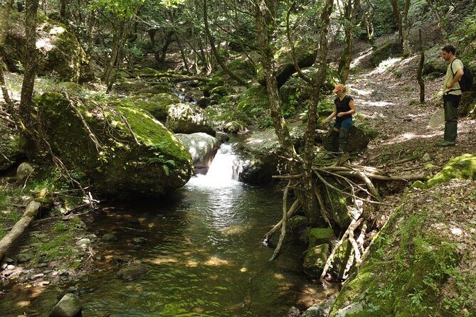 From Catania, Syracuse and Taormina: fly fishing experience - 9 hours, 3 towns, and a morning start that actually works