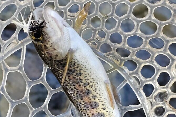From Catania, Syracuse and Taormina: fly fishing experience - Hands-on coaching (and why small groups feel better here)