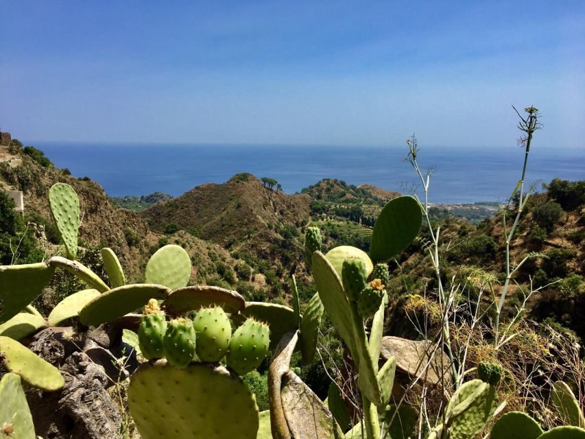 From Catania: The Godfather Movie Day Trip in Sicily - Should you book this tour?